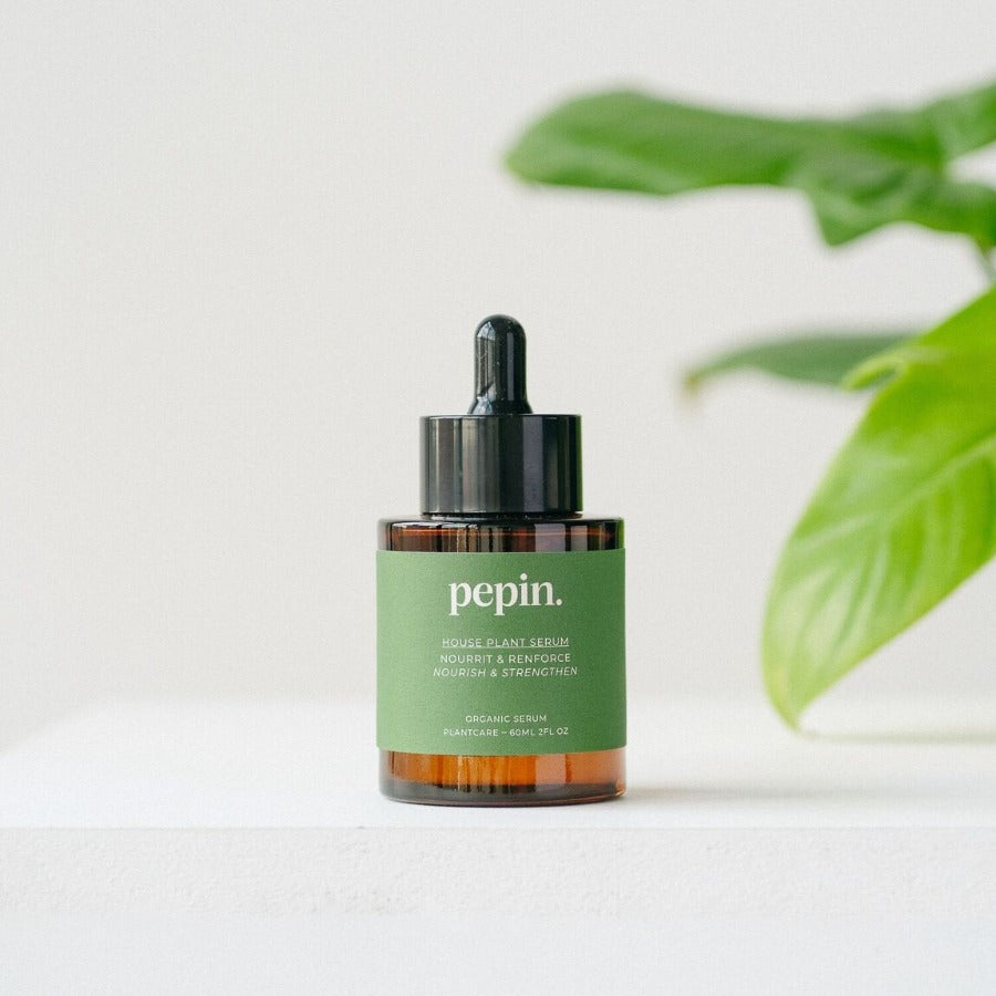 Engrais pour plantes vertes