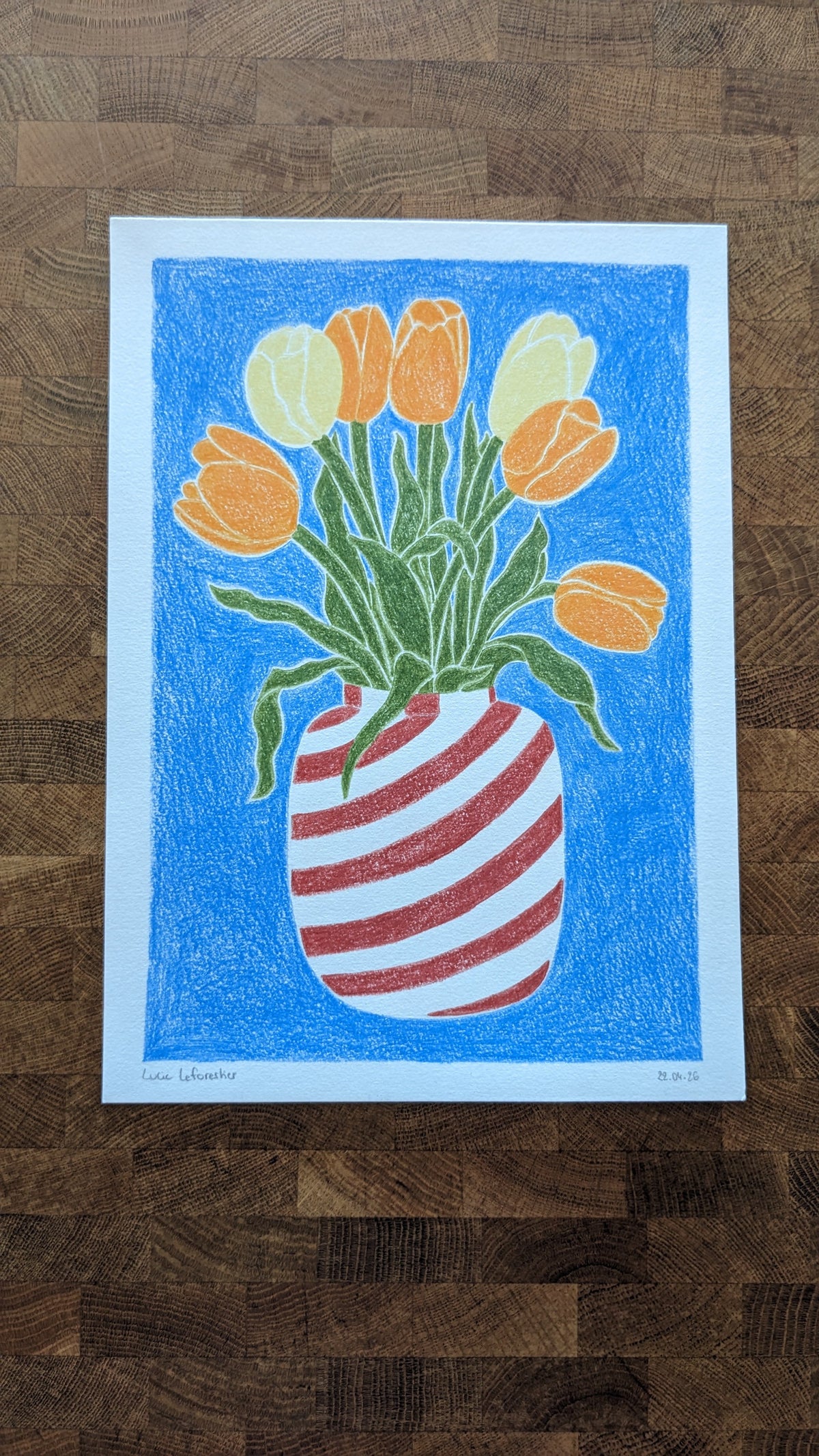 Carte/Affiche - Tulipes
