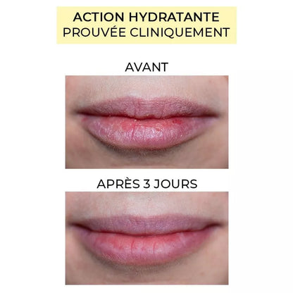 Rouge à lèvres hydratant Grenat Pomponne comparaison avant après